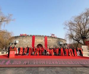 �й���Э2026����ӭ��������������ʽ��ɽ����������