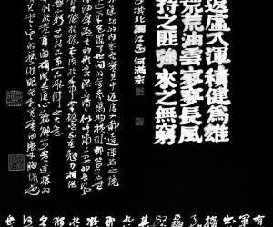īеʫ꣺鷨չеѧԻ