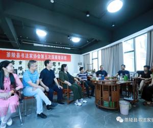 茶陵县书法家协会第五次国展培训班结业仪式举行
