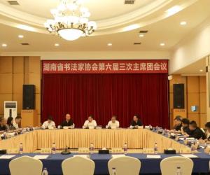 湖南省书法家协会第六届主席团第三次会议在长沙召开